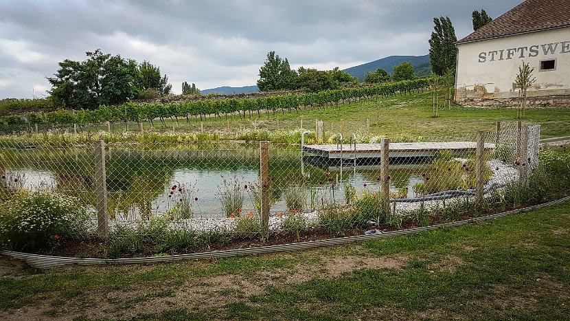 20180630_093107(0)