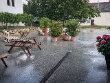 20180629_184724(0).JPG