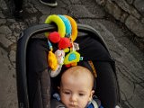 20180629_195219(0).JPG