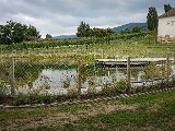 20180630_093107(0).JPG