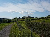 20180707_165222.JPG