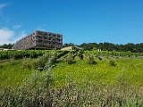 20180707_165251.JPG