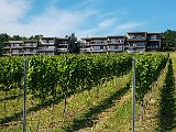 20180707_165508(0).JPG