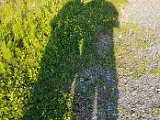 20180707_192116.JPG