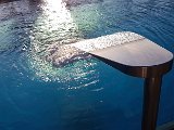 20180707_194506.JPG