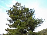 20180708_195220.JPG