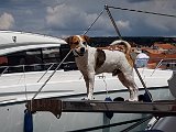 20180709_135643.JPG