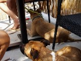 20180709_155114.JPG