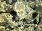 20180709_180240.JPG