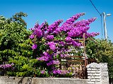 20180710_160144.JPG