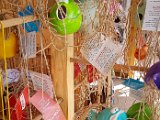 20180710_171822.JPG