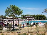 20180711_135508(0).JPG