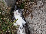 20180711_171130.JPG