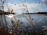 20180711_175249(0).JPG
