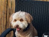 20180711_201216.JPG