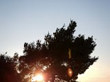 20180712_195945(0).JPG