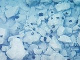 20180712_202730.JPG