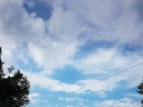 20180713_143717.JPG