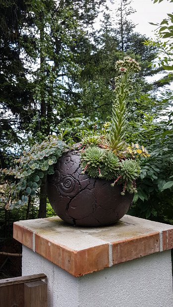 20180714_104738