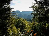 20180713_190421.JPG