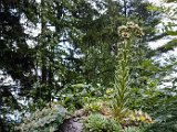 20180714_104738.JPG