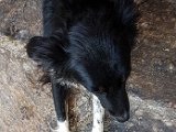 20180714_161401.JPG