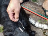 20180714_162141.JPG