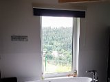20180714_163934(0).JPG