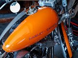 20180715_103948.JPG
