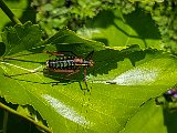 20180715_104811.JPG