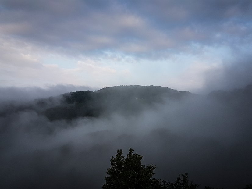 20180811_065042(0)