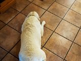 20180810_180803.JPG