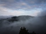20180811_065042(0).JPG
