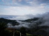 20180811_065303.JPG