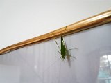 20180811_103316(0).JPG
