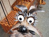 20180811_112758.JPG