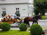 20180811_133204.JPG