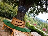 20180811_175101(1).JPG