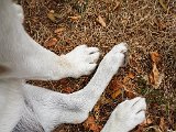 20180812_092346(0).JPG