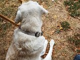 20180812_092646.JPG
