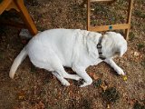 20180812_092748.JPG