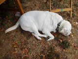 20180812_092802.JPG