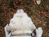 20180812_093223.JPG