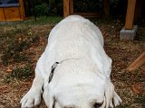 20180812_093321.JPG