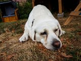 20180812_093328(0).JPG