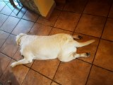 20180812_134530.JPG