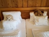 20180812_144418.JPG