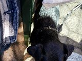 20180813_101132.JPG