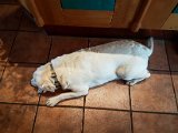 20180813_102327.JPG
