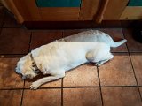 20180813_102331.JPG